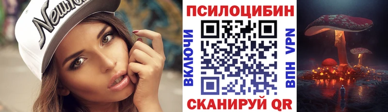 Купить где  Жуков  Псилоцибиновые грибы Psilocybe 