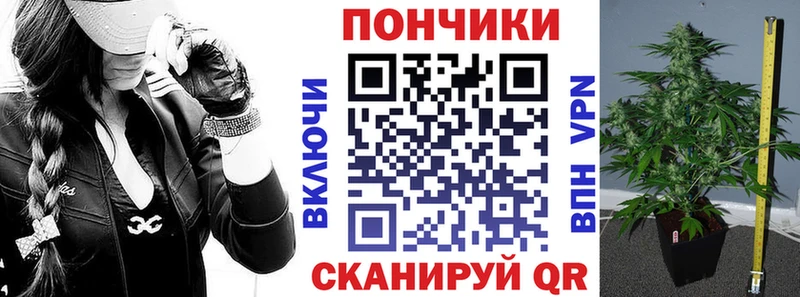 Марихуана White Widow  Купить закладки  Жуков 